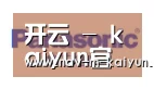 开云体育合作伙伴四